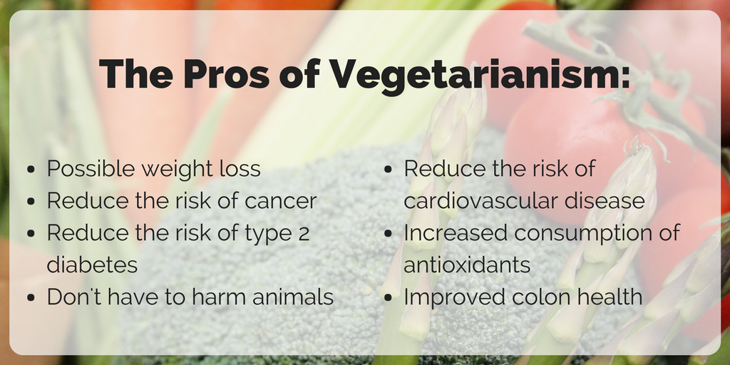 Pros And Cons Of Vegetarianism Chart