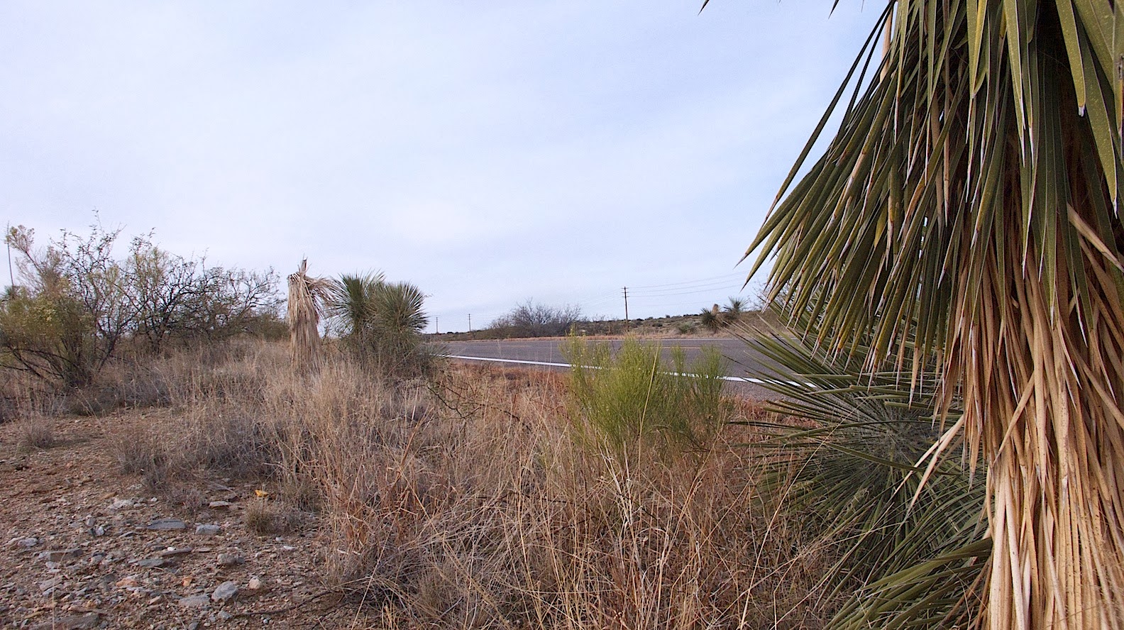 Eric Kroll Eric Kroll The Year In Pictures