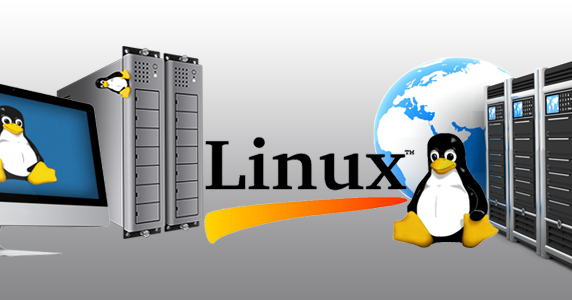 Internal and External Commands in Linux | LPI Central