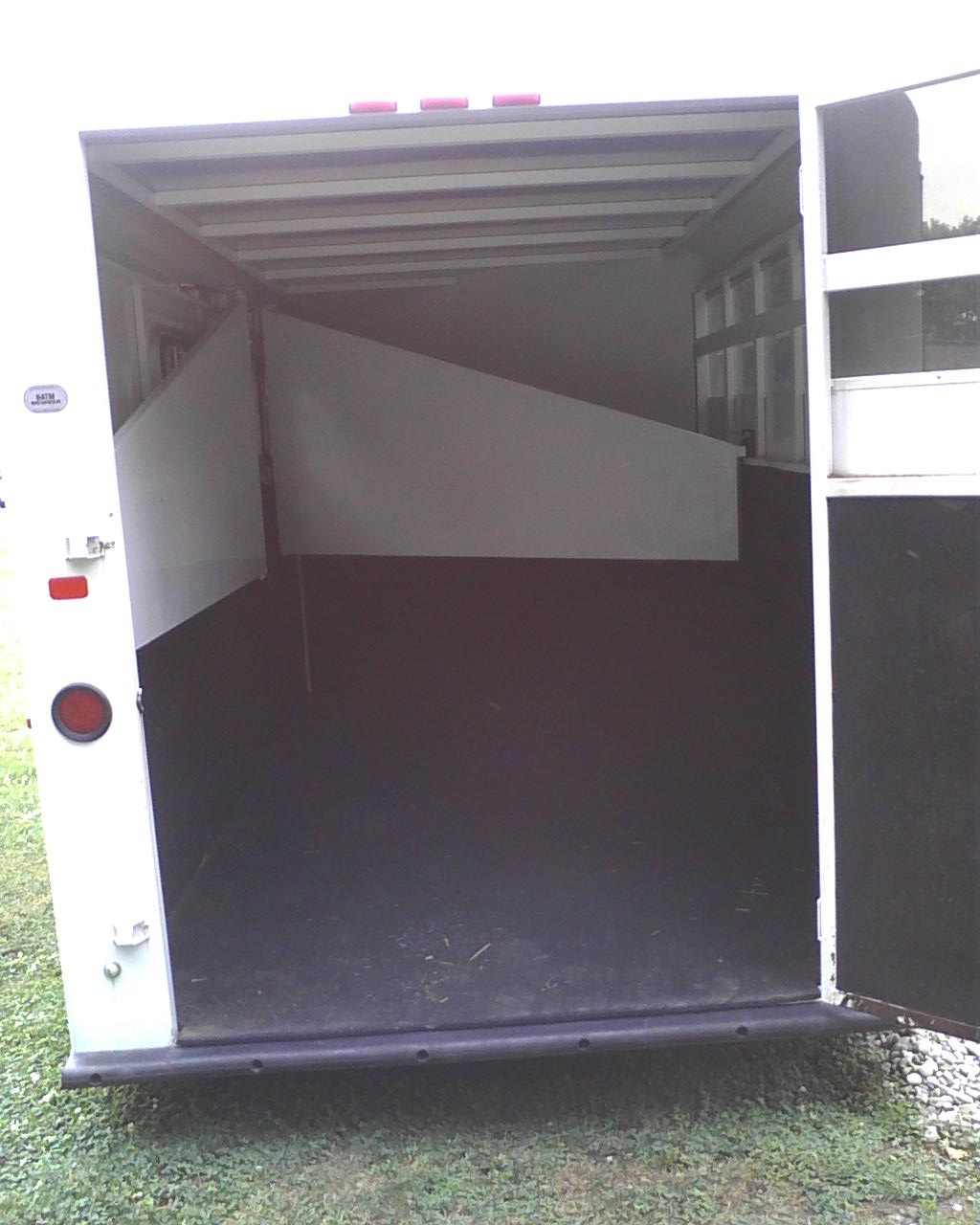 Pippi Dressage Paint! Pretty? Horse trailer? (pics)