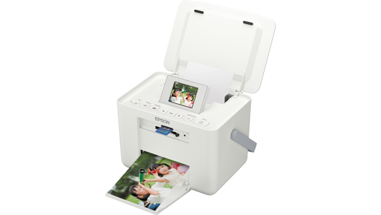 Epson PictureMate PM245