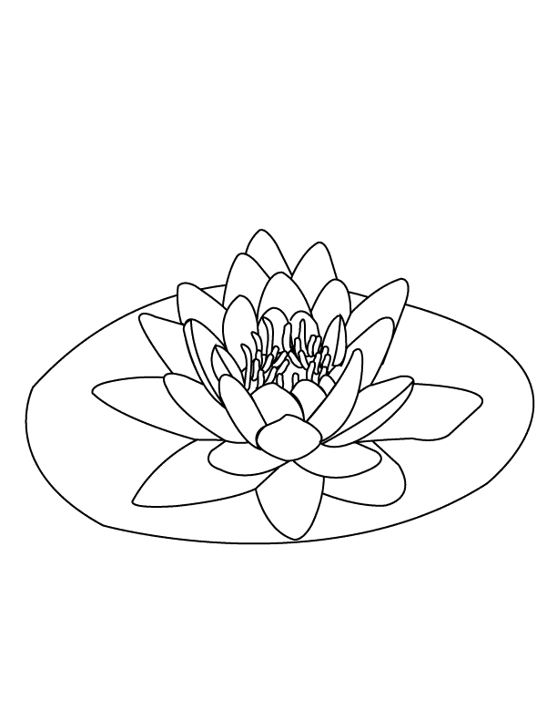 Water Lily Coloring Page Bernama Kids 1Malaysia Club Colouring Page
