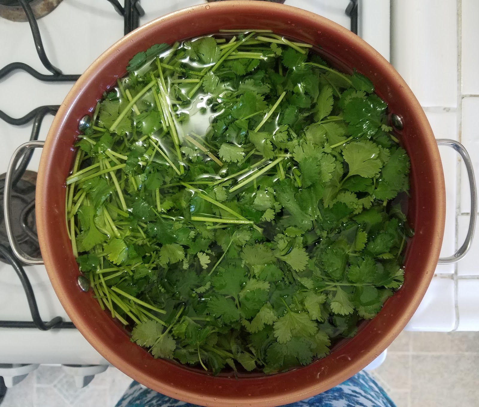 Carrie's Kitchen Creations Cilantro (or Parsley) Water For Cleansing
