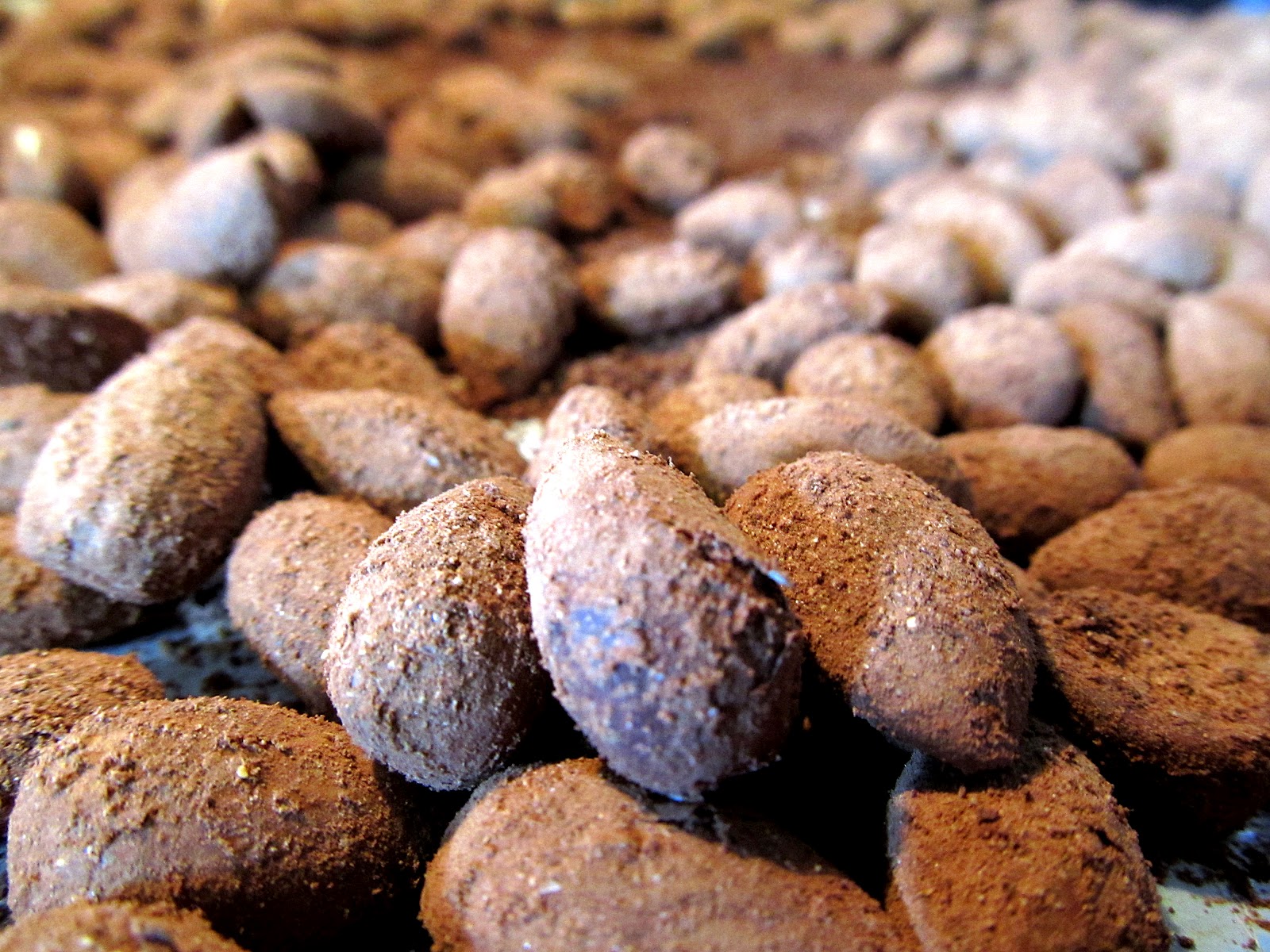 SCAMPER Artistry CocoaCoated Almonds