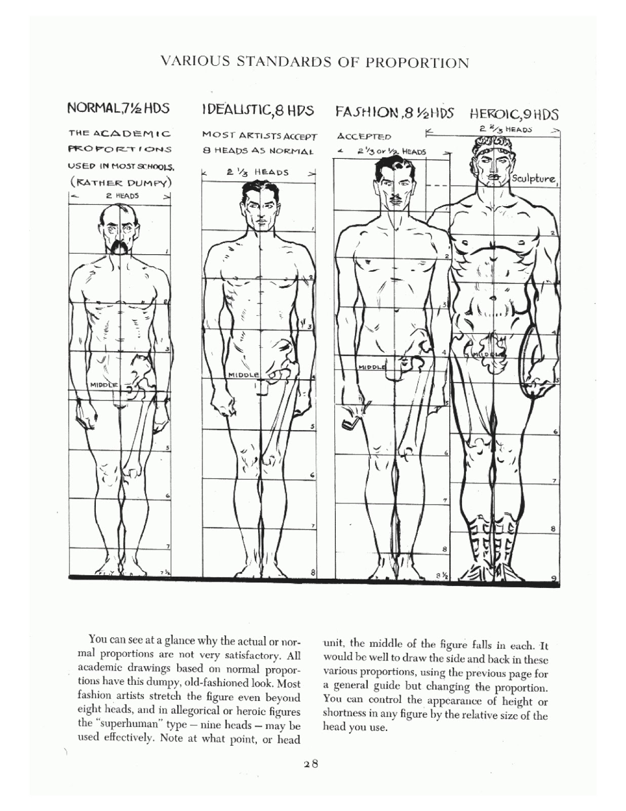 The Artists Field Book Question 6 Proportions In Anatomy