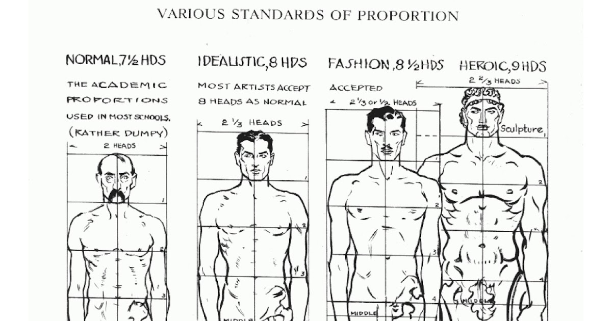 The Artist's Field Book: Question #6 - Proportions in Anatomy