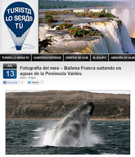 foto premiada de un salto de ballena en Península Valdés