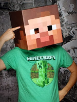 disfraz Minecraft