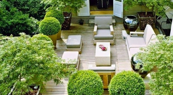 Terrace garden – beautiful design ideas!