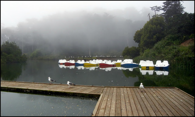 Boats on a lake in Golden Gate park in San Francisco, California