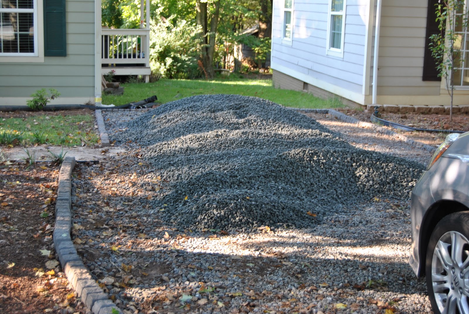 Life with the Moffitts