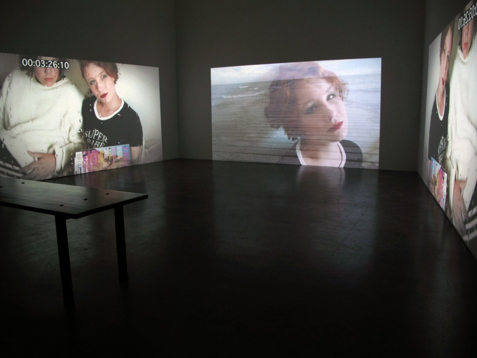 Lena Mattsson "The Unspeakable" Ystads konstmuseum