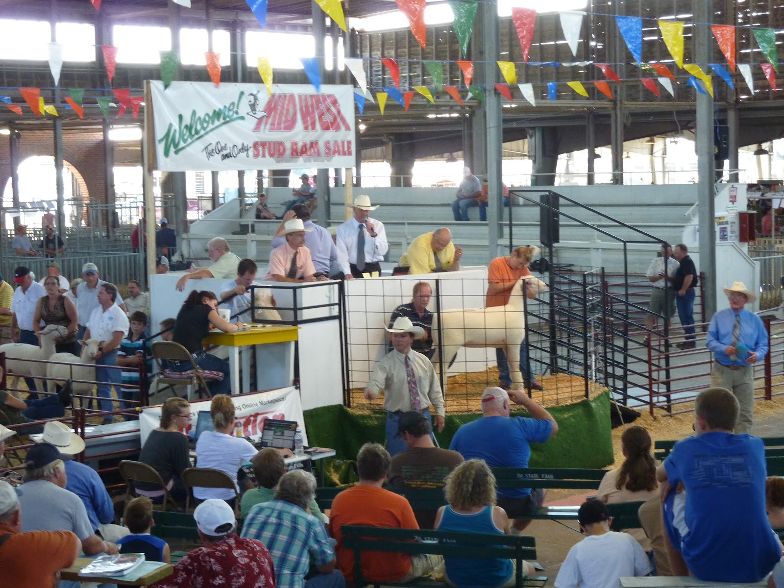 ROAD TO SEDALIA AND SOUTH DAKOTA Missouri State Fairgrounds Sheep Show