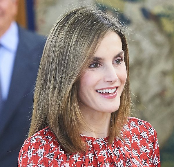 Queen Letizia of Spain attends a audience at Zarzuela Palace