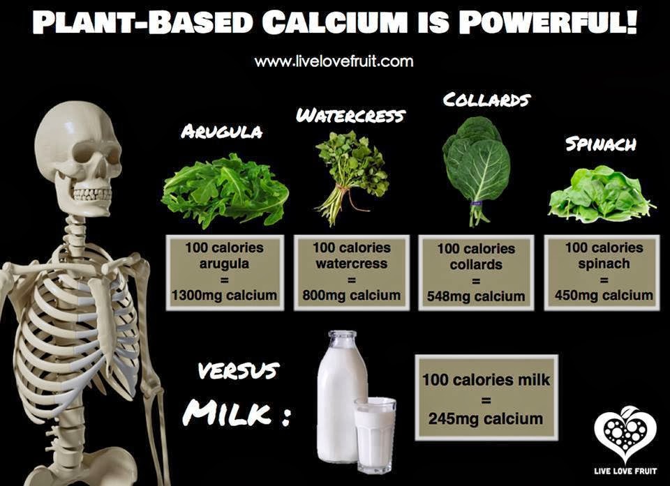 The Natural Health Page Plant Foods Rich in Calcium