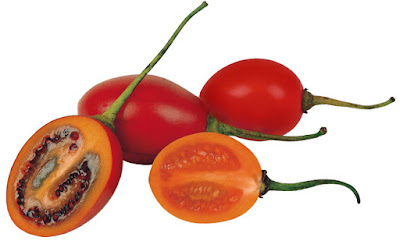 Tìm hiểu về cà chua Tamarillo đang gây sốt trên thị trường