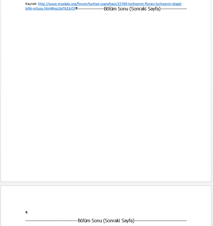 Office Programları Uygulamaları: Bir Word Belgesini Bölümlere Ayırmak