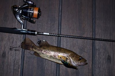 Ауха or Mandarin fish на Usami Datsu 80SP Ауха or Mandarin fish на Usami Datsu 80SP