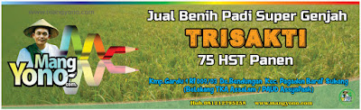MANGYONO.com Jual Benih Padi Trisakti MANGYONO.com Jual Benih Padi Trisakti