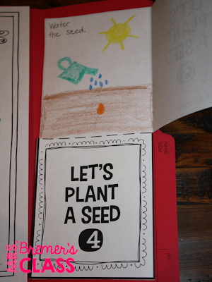 This plant lifecycle lapbook provides students with a fun way to record their learning about plant growth. Hands on and engaging learning for Kindergarten-Second Grade. #plants #plantunit #lapbook #lapbooks #plantgrowth #lifecycles #kindergarten #1stgrade #2ndgrade #science