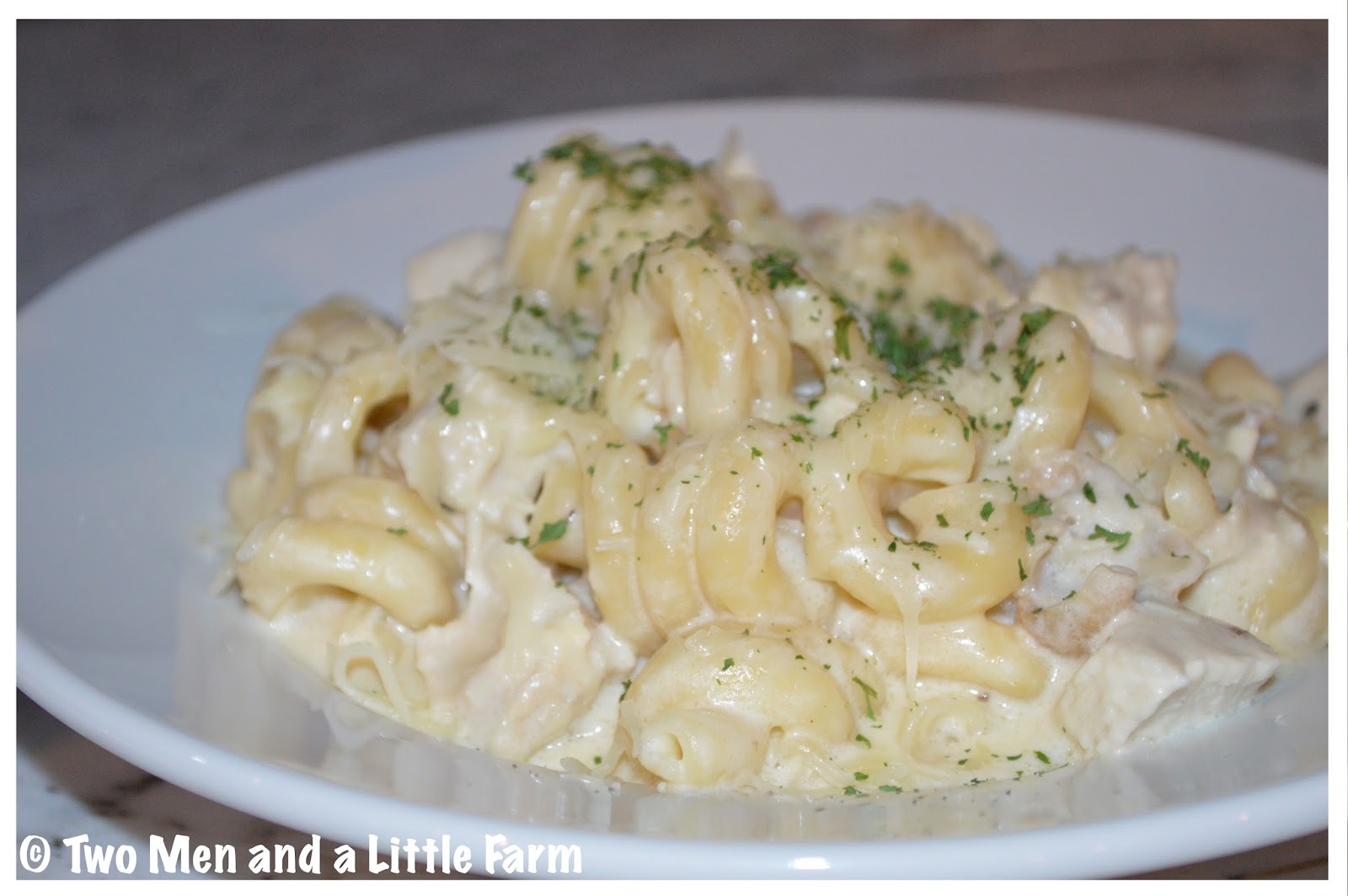 Two Men and a Little Farm TURKEY ALFREDO PASTA RECIPE