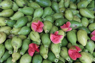 jambu-biji,www.healthnote25.com