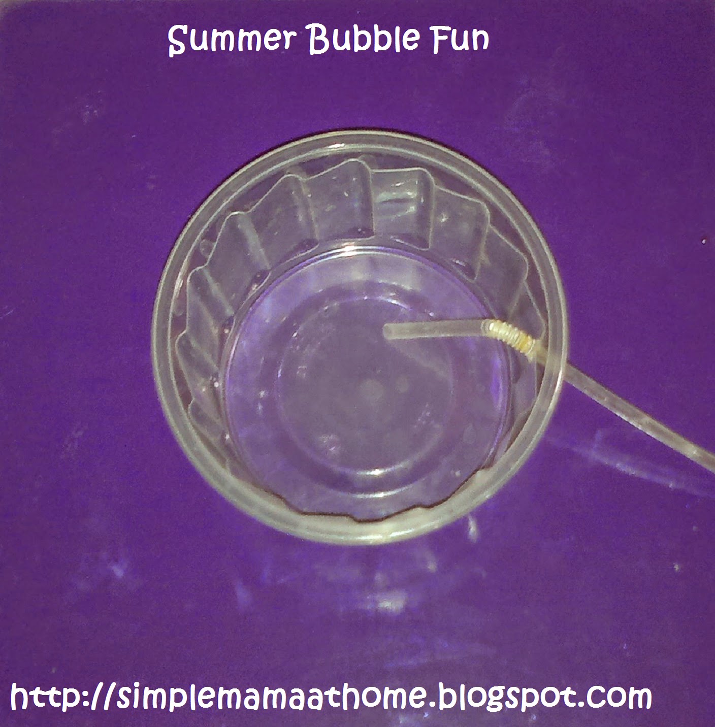 Homemade Bubble Blower and Bubbles 