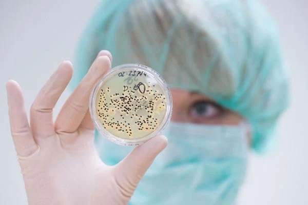 In Yakutia, ancient bacteria have been found that are 3.5 million years old