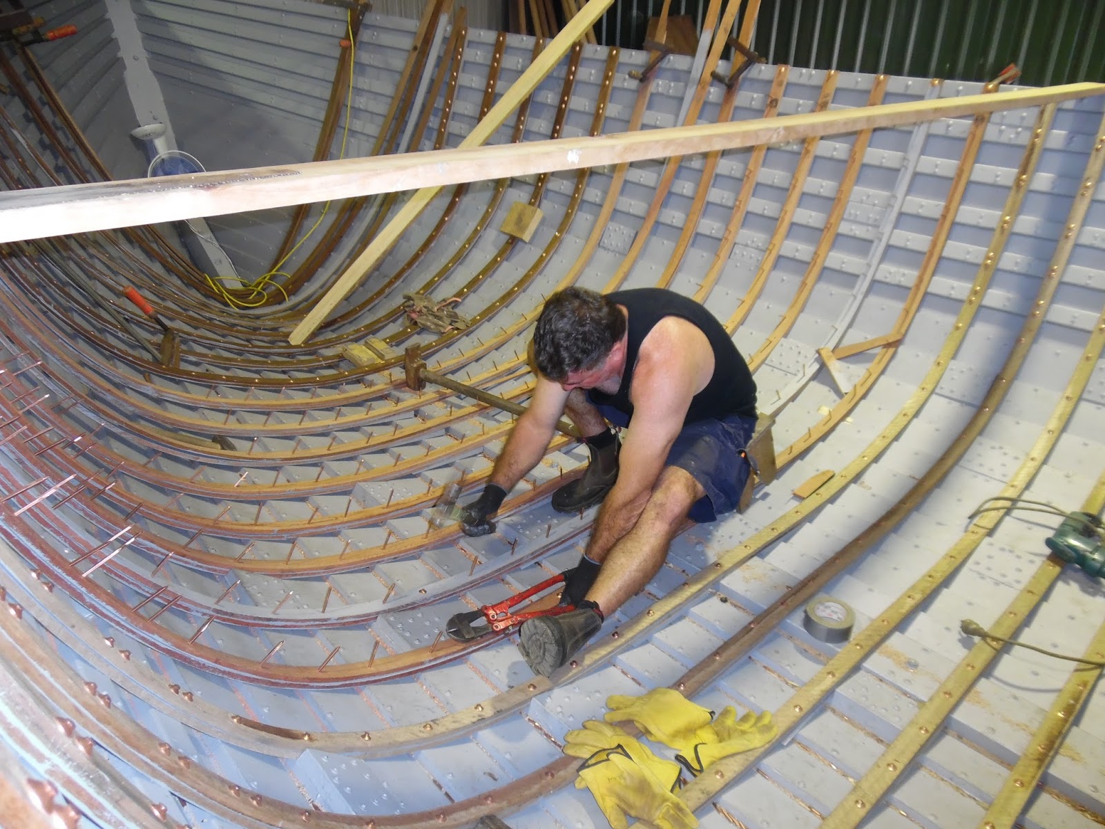 The World of Norfolk's MuseumThe World of Norfolk's Museum Ribs, roves