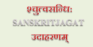 चित्र