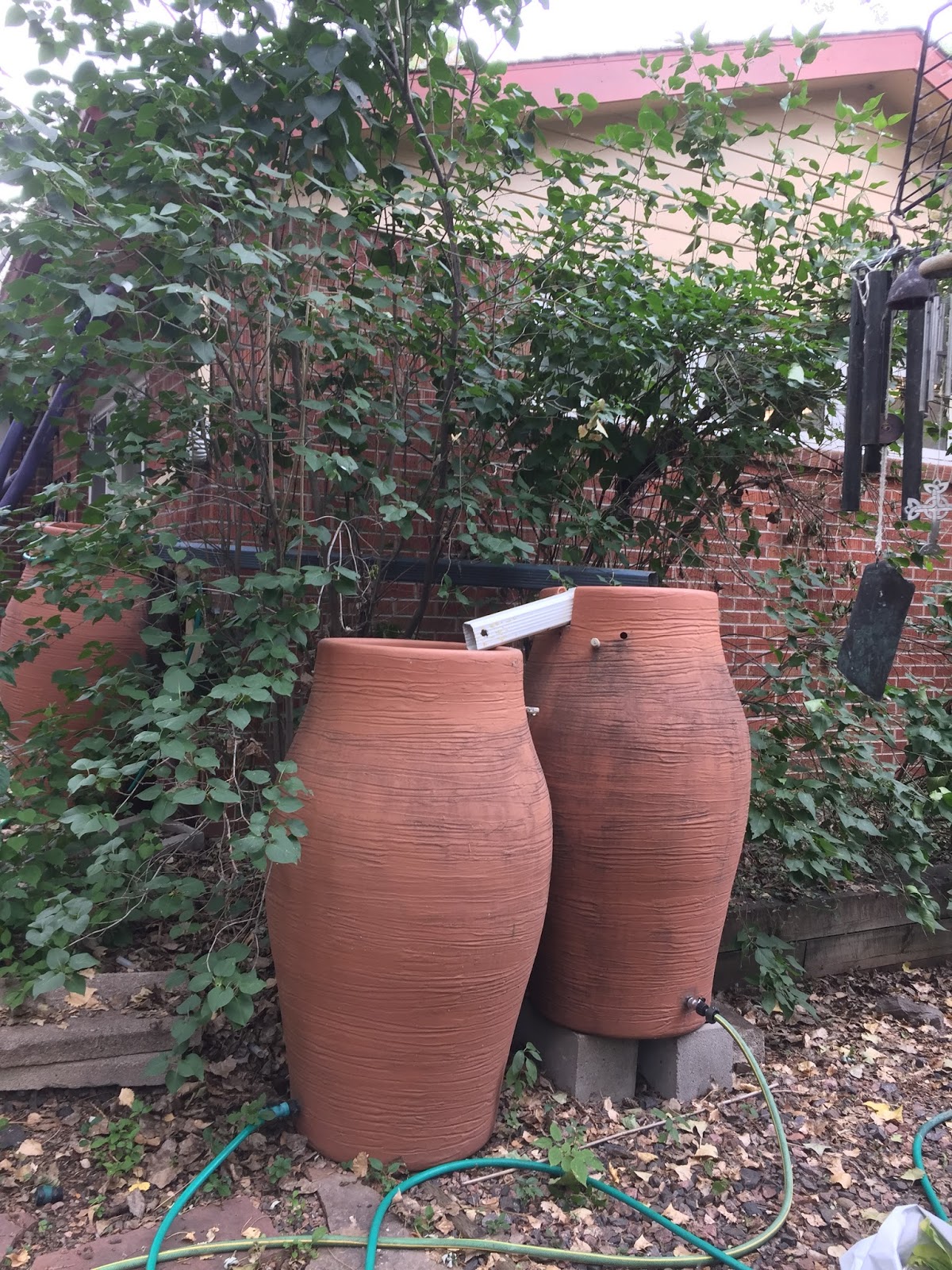 JeffCo Master Gardeners Rain Barrels Now Legal in Colorado