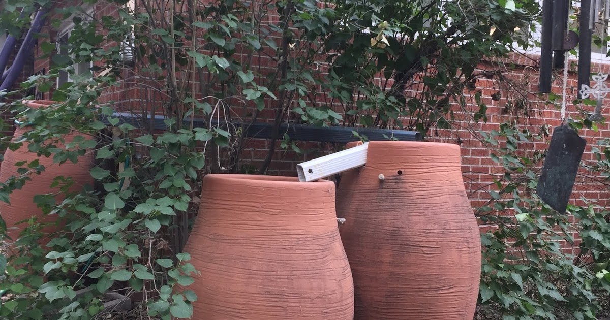 JeffCo Master Gardeners Rain Barrels Now Legal in Colorado