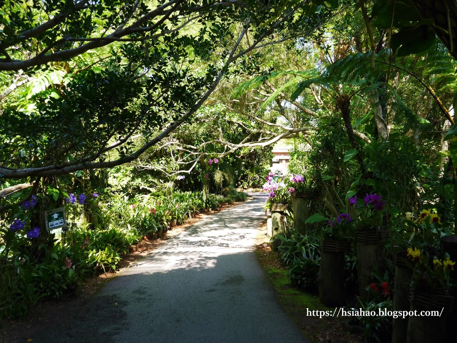 沖繩-推薦-景點-BIOS之丘-自由行-旅遊-Okinawa-ビオスの丘-bios-hill