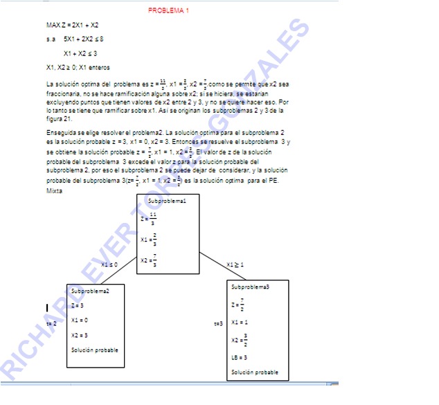 RAMIFICACION Y ACOTAMIENTO EPUB RAMIFICACION Y ACOTAMIENTO EPUB
