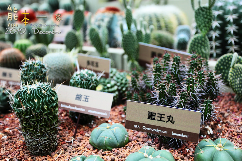 花博新生園區|未來館~台灣四大生態總匯集