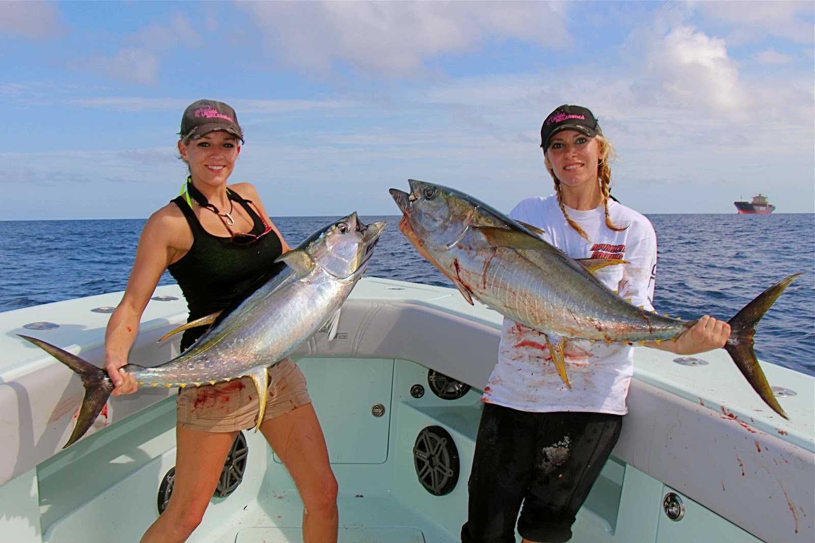 Yellowfin Tuna Whole Round Product for Restaurant Ingredient