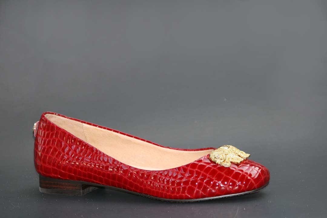 Where To Buy Diana E Kelly Shoes Where To Buy Diana E Kelly Shoes
