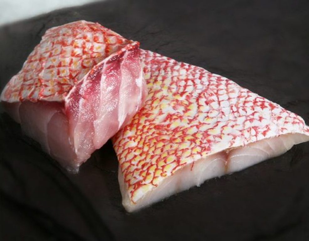 Grouper Fillet Supplier, Grouper Fish Manufacturers, Frozen Grouper