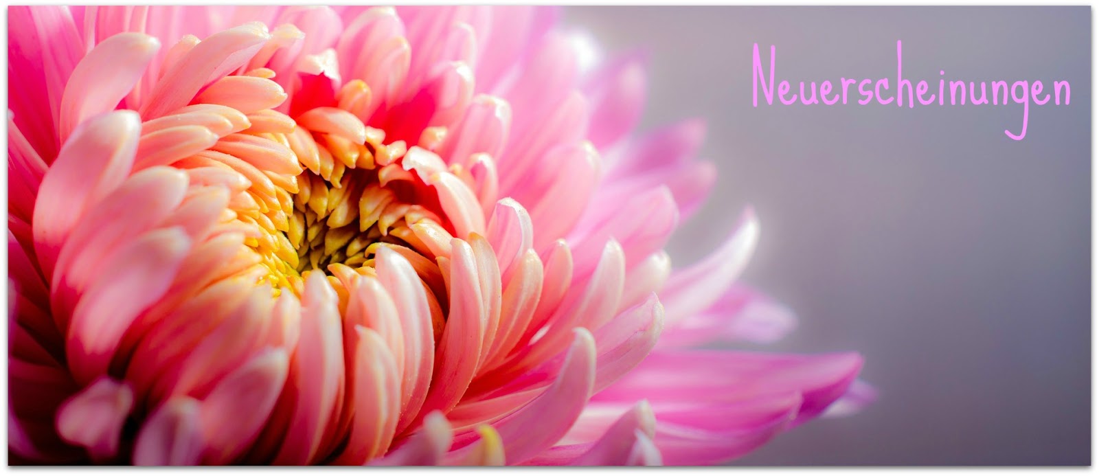 Gisi S Blog Von Tag Zu Tag Latest Snapshot Chan 21582525