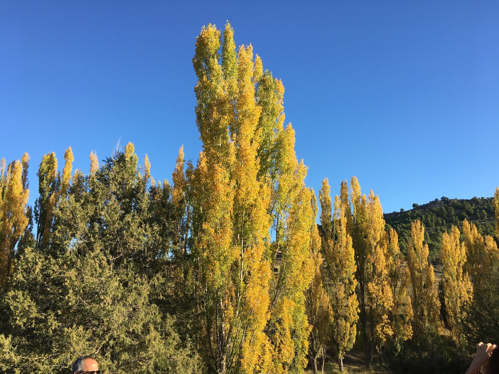 Senderismo y Montañismo Pico San Juan 1.699m