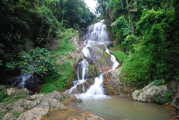 Exclusive Safari Tour Koh Samui by Namuang Safari Park (Half Day Tour)