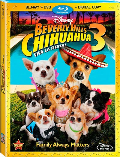 Beverly Hills Chihuahua 3 (2012) 720p BDRip Dual Latino-Inglés [Subt. Esp] (Comedia)