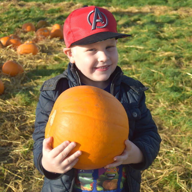 Wafflemama. Pumpkin Patch Rand Farm Lincolnshire