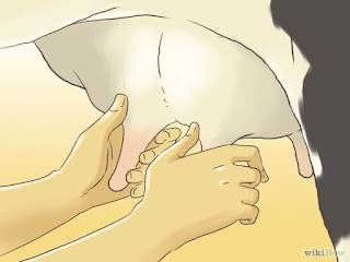 rangsangan pada puting sapi rangsangan pada puting sapi
