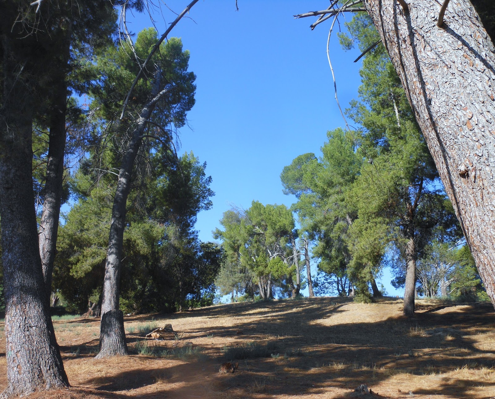 1000 Hikes in 1000 Days Day 684 Pierce College Woodland Hills VC