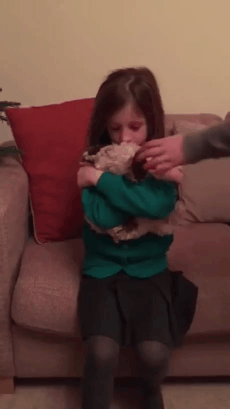 oh.%2Bpuppy.gif