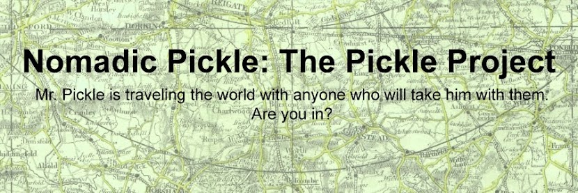 Nomadic Pickle: The Pickle Project