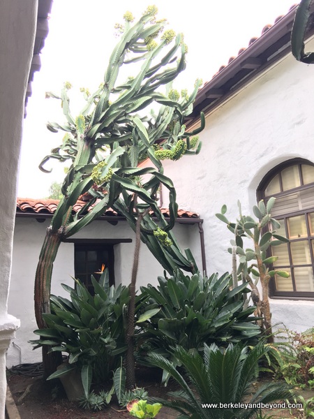 interior garden at San Diego de Alcala mission in San Diego, California