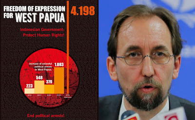 Komisioner HAM PBB singgung penangkapan dan penahanan sewenang-wenang di Papua