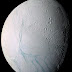 The possibility of life on Enceladus